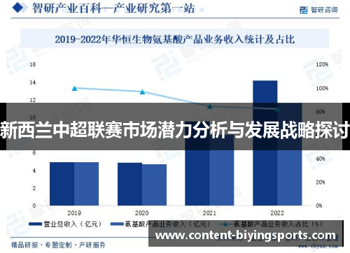 新西兰中超联赛市场潜力分析与发展战略探讨