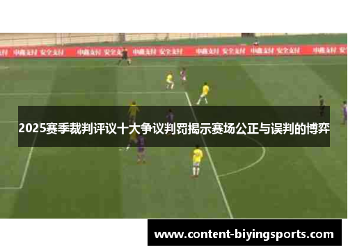 2025赛季裁判评议十大争议判罚揭示赛场公正与误判的博弈