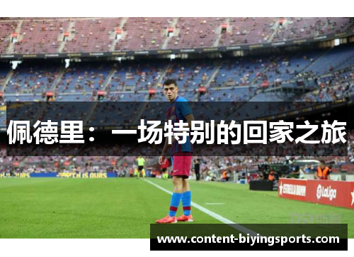 佩德里：一场特别的回家之旅