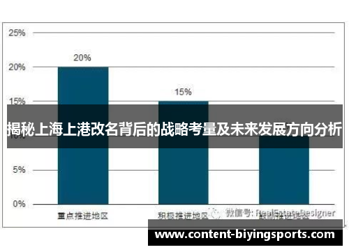 揭秘上海上港改名背后的战略考量及未来发展方向分析