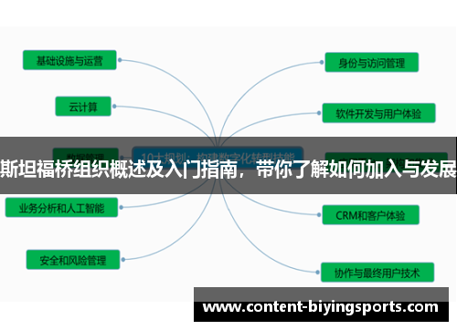 斯坦福桥组织概述及入门指南，带你了解如何加入与发展