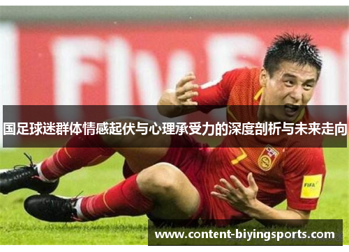 国足球迷群体情感起伏与心理承受力的深度剖析与未来走向