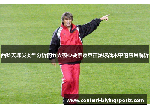 西多夫球员类型分析的五大核心要素及其在足球战术中的应用解析