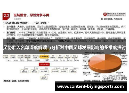 足协准入名单深度解读与分析对中国足球发展影响的多维度探讨