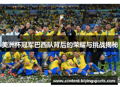 美洲杯冠军巴西队背后的荣耀与挑战揭秘