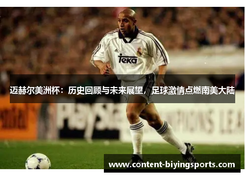迈赫尔美洲杯：历史回顾与未来展望，足球激情点燃南美大陆