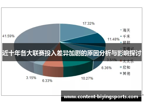 近十年各大联赛投入差异加剧的原因分析与影响探讨