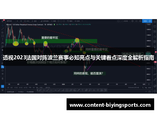 透视2023法国对阵波兰赛事必知亮点与关键看点深度全解析指南