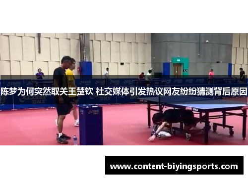 陈梦为何突然取关王楚钦 社交媒体引发热议网友纷纷猜测背后原因