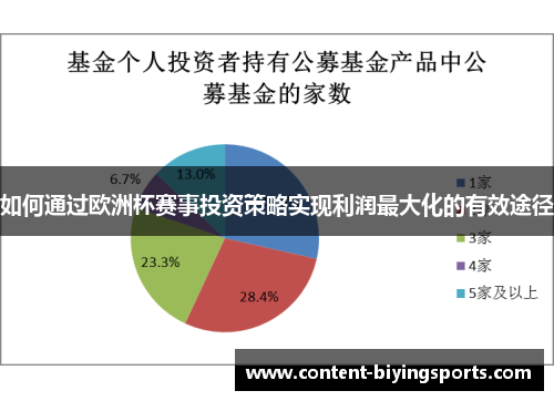 如何通过欧洲杯赛事投资策略实现利润最大化的有效途径